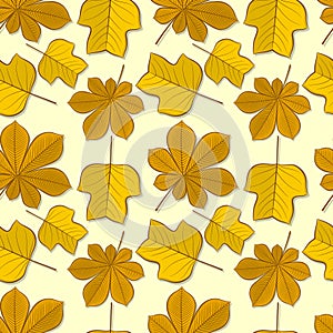 Seamless pattern with chestnut and tulip poplar autumn leaves.