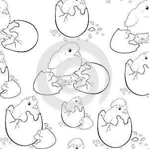 Seamless pattern is chicken baby the egg hatchs. vector illustr