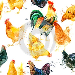 Seamless pattern with Chicken and Rooster.