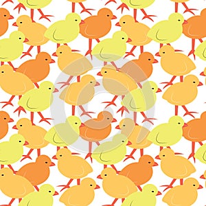 Seamless pattern with chik. Cute cartoon characters. Vector illustration