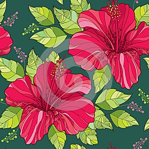 Seamless pattern with Chinese Hibiscus flower in red and green ornate leaves on the dark green background