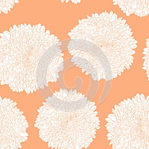 Seamless pattern with a Chrysanthemum Flowers natural ornament. Line Chrysanthemum Flowers.