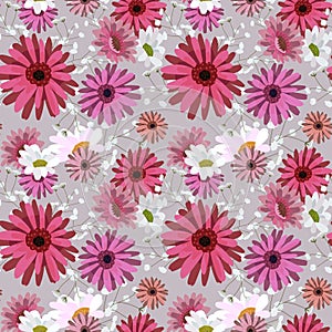Seamless pattern with chrysanthemums,chamomile,daisy.Pink,white flowers on a gray background. Illustration can be used
