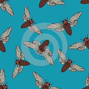 Seamless pattern with cicada . Cicadidae. Chremistica umbrosa. hand-drawn cicada .
