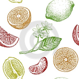 Seamless pattern with citrus fruits.