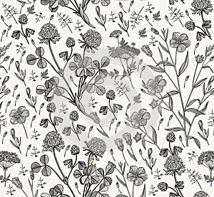 Seamless pattern Clover Flax isolated flowers Vintage background Drawing engraving Vector illustration
