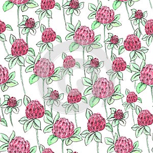 Seamless pattern of clover on a white background