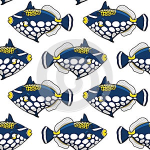 Seamless pattern with clown triggerfish fish. Vector tropical background.