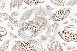 Seamless pattern with cocoa beans. Vintage vector