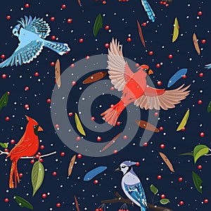 Seamless pattern from collection with blue jay and red cardinal birds.