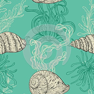 Seamless pattern with collection of sea shells, marine plants and seaweed.