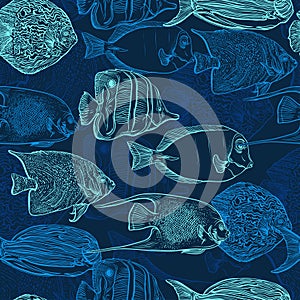 Seamless pattern with collection of tropical fish. Vintage set of hand drawn marine fauna. photo