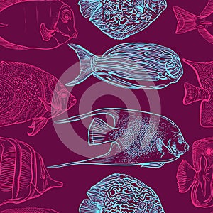 Seamless pattern with collection of tropical fish.Vintage set of hand drawn marine fauna.Vector illustration in line art style.