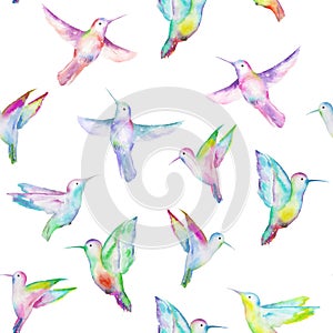 Seamless pattern of colored colibri