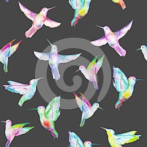 Seamless pattern of colored colibri