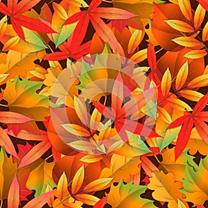 Seamless pattern with colorful autumn leaves. Vector illustration