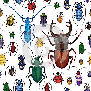Seamless pattern with colorful bugs. Bright handdrawing of beetles