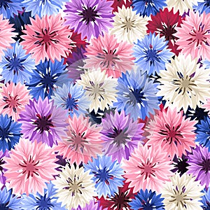 Seamless pattern with colorful cornflowers. Vector illustration.