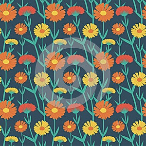 Seamless pattern colorful gerbera flowers