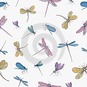 Seamless pattern with colorful hand drawn dragonflies on white background. Backdrop with elegant flying insects. Vector