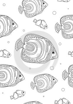 Seamless pattern or coloring page with imperial fish angel on a white background, outline vector stock illustration with a random