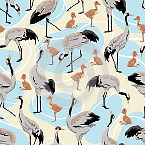 Seamless pattern Common crane or Grus grus or Eurasian crane. A gray cranes in various poses. Birds are looking for food, standing