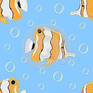 Seamless pattern with Copperband butterflyfish or Chelmon rostratus. Modern print for fabric, textiles, wrapping paper