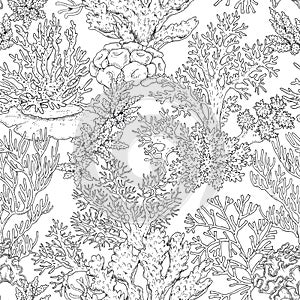 Seamless Pattern with Corals