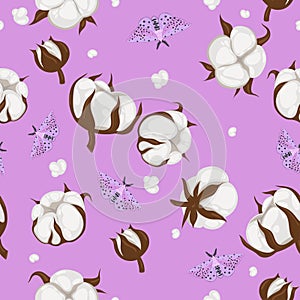 Seamless pattern with cotton plant and moths