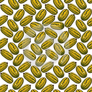 Seamless pattern with Courge Spaghetti Squash