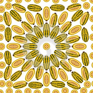 Seamless pattern Courge Spaghetti Squash Flat