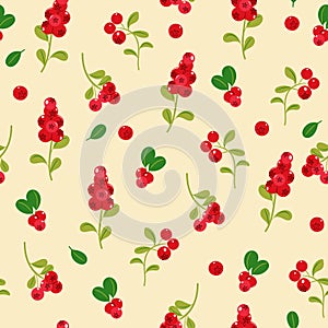 Seamless pattern with cowberry berries and leaves. Vector graphics