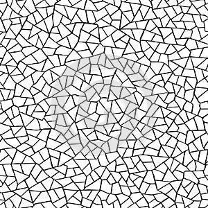 Seamless pattern.The cracks texture white and black.