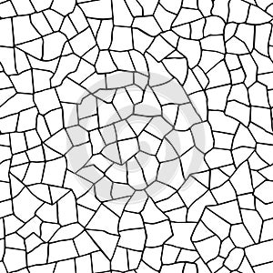 Seamless pattern.The cracks texture white and black.