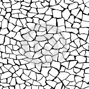 Seamless pattern.The cracks texture white and black.