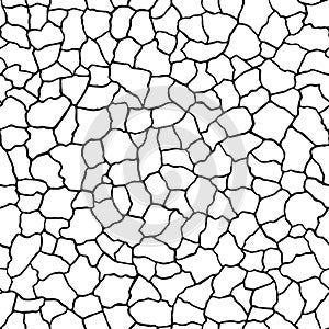 Seamless pattern.The cracks texture white and black. Vector background.