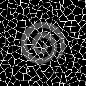 Seamless pattern.The cracks texture white and black. Vector background.