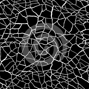 Seamless pattern. cracks texture white and black. Vector background.