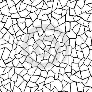 Seamless pattern. cracks texture white and black. Vector background.