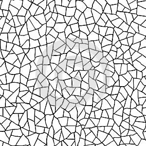 Seamless pattern.The cracks texture white and black. Vector background