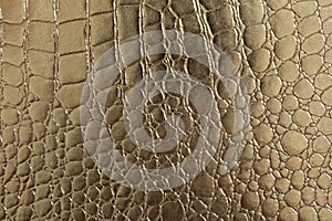 Seamless pattern of crocodile textured leather