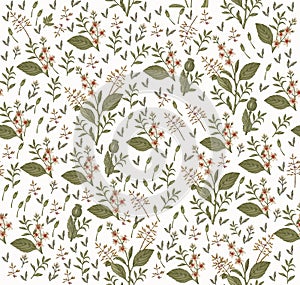 Seamless pattern Croton isolated flowers Vintage background Drawing engraving Vector illustration