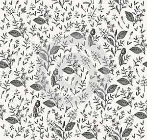 Seamless pattern Croton isolated flowers Vintage background Drawing engraving Vector illustration