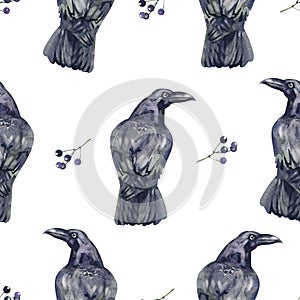 Seamless pattern with crows. Birds are sitting. Watercolor painting by hand in vintage style. Gothic, stylish background
