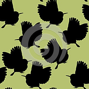 Seamless pattern Cuban a Tody Bird exotic. vector illustration