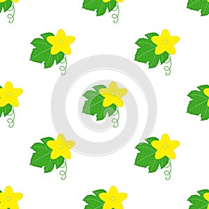 Seamless pattern with cucumber or kiwano leaves and flowers isolated on white background. Vector illustration for any