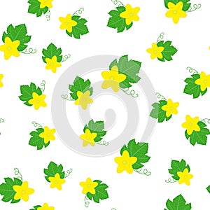 Seamless pattern with cucumber or kiwano leaves and flowers isolated on white background. Vector illustration for any