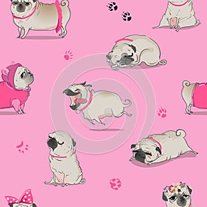 Seamless pattern with cute cartoon pug photo