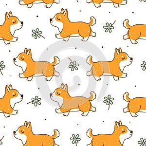 Seamless pattern with cute corgi and flowers - cartoon background for textile and wrapping design