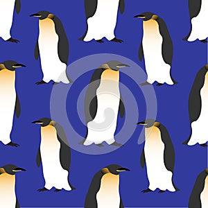 Seamless pattern. Cute Emperor penguins on a dark blue background. Realistic birds of the Antarctic. Vector for packaging, paper,